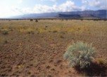Escalante Desert about ten miles southeast of the town of Escalante, Utah. Lamont Crabtree Photo  